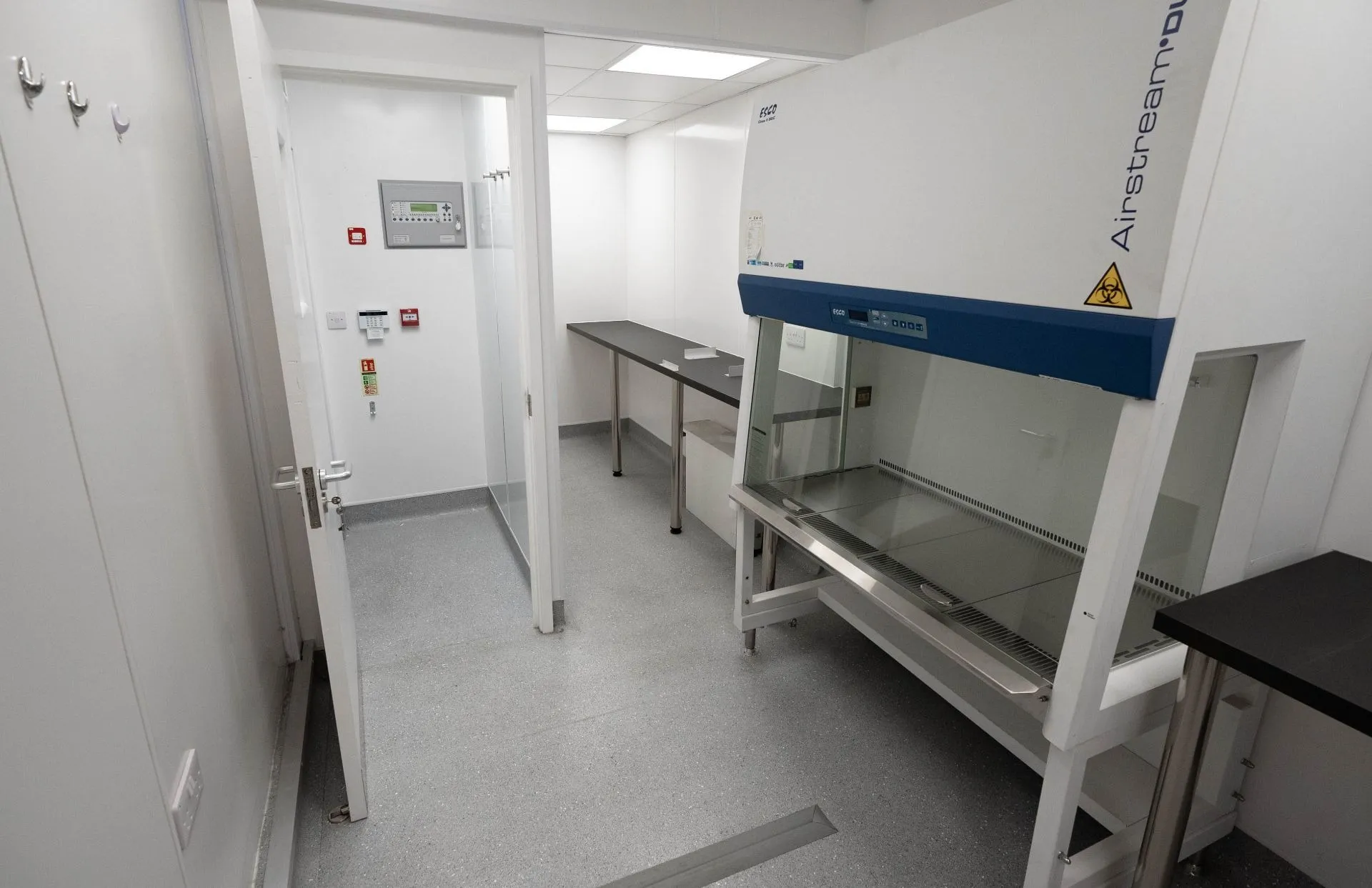 Laboratory interior with Class II biosafety cabinet and bench